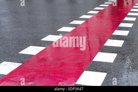 Passage pour piétons pour Bike Lane avec des bandes blanches et rouges sur la route asphaltée. Endroit pour traverser la route Banque D'Images