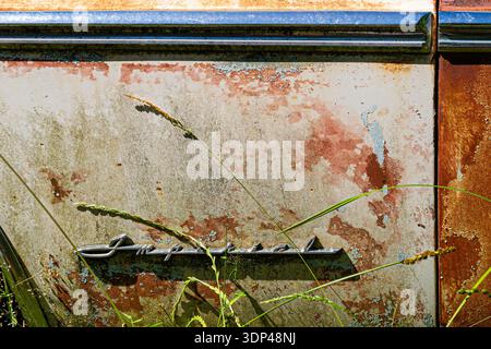 Gros plan d'une porte de voiture endommagée avec de la peinture écaillée et de la rouille. Banque D'Images