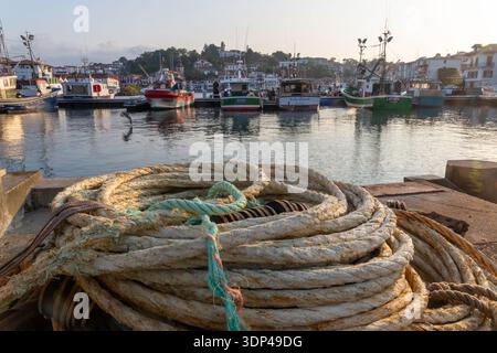 Une scène portuaire tranquille avec des bateaux de pêche amarrés sous la douce lumière du matin. Banque D'Images