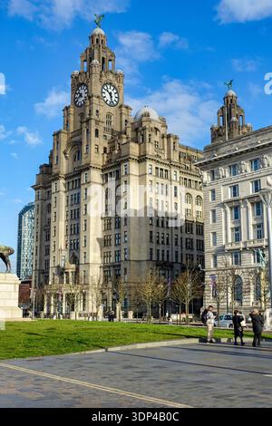 Royal Liver Building sur Pier Head à Liverpool, Angleterre, Royaume-Uni Banque D'Images