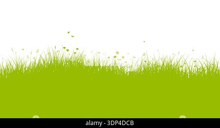 Fond de vecteur d'herbe verte pour l'illustration orientale, printanière, estivale ou écologique. Bordure de prairie avec des herbes, des fleurs et des insectes Illustration de Vecteur