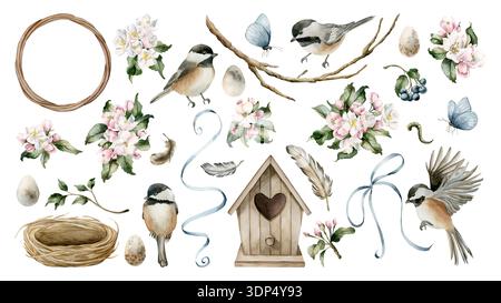 Chickadee Birdhouse Nest Apple Blossom Set. Illustration dessinée à la main à l'aquarelle isolée sur fond blanc pour cotta de conception de printemps de décor de Pâques Banque D'Images