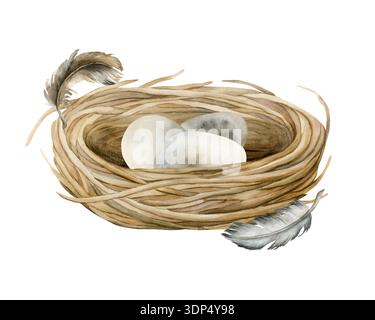 Nid d'oiseau avec des œufs. Osier boho vintage rustique shabby chic objet de décoration. Illustration dessinée à l'aquarelle à la main isolée sur fond blanc en milieu rural Banque D'Images