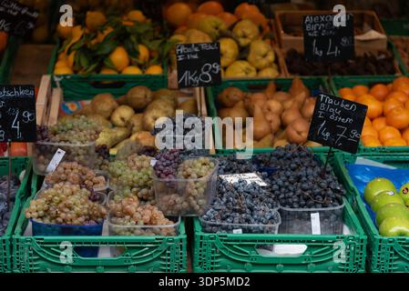 Assortiment de fruits frais, y compris des raisins verts et noirs, des poires mûres, des oranges brillantes et des prunes exposées sur un étal de marché local Banque D'Images