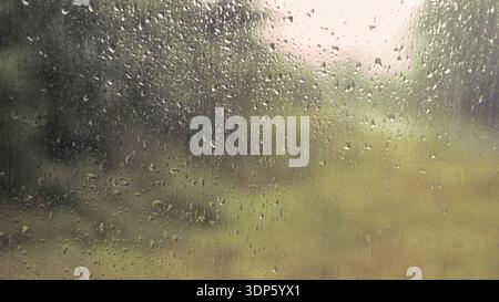 Gouttes de pluie sur une fenêtre avec un fond flou de nature verte indiquant un jour de pluie. format d'image 16 :9 Banque D'Images