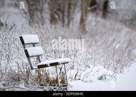 Banc dans un parc couvert de neige après une matinée enneigée en hiver. Banque D'Images