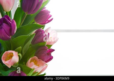 Tulipes colorées disposées dans un vase avec lumière naturelle d'une fenêtre Banque D'Images