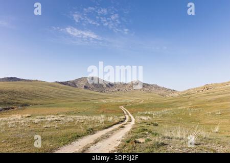 Un chemin de terre sinueux serpente à travers la steppe vallonnée et les collines herbeuses du parc national de Hustai (Khustain Nuruu) dans le centre de la Mongolie. Banque D'Images