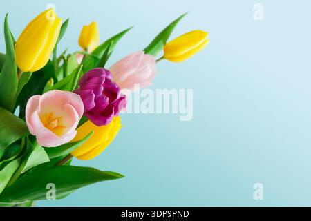 Bouquet de tulipes colorées avec des fleurs jaunes et roses dans un fond clair Banque D'Images