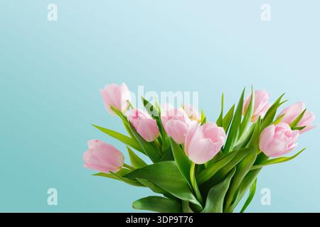 Tulipes roses dans un vase avec des feuilles vertes sur un fond bleu clair dans un cadre simple Banque D'Images
