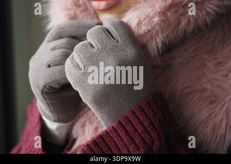 Réchauffez les mains dans des gants gris pendant l'hiver Banque D'Images