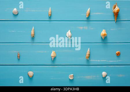 Assortiment de coquillages sur bois bleu, fond de mer Banque D'Images
