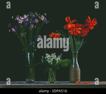 Bouquet de fleurs de coquelicots rouges, un bouquet de lys blancs de la vallée et un bouquet de fleurs de bluebells dans des vases en verre sur fond noir Banque D'Images