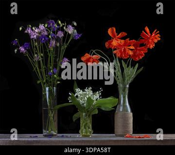 Bouquet de coquelicots rouges, un bouquet de lys blancs de la vallée et un bouquet de fleurs cloches dans des vases en verre sur un fond noir gros plan Banque D'Images