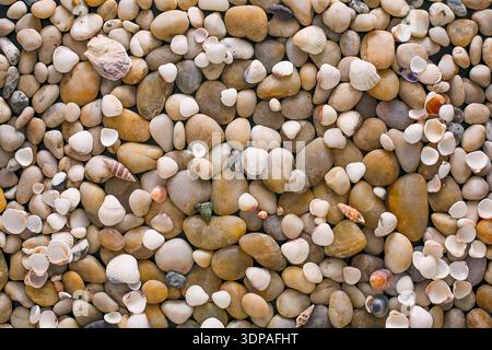 Fond de galets de mer, pierres naturelles au bord de la mer Banque D'Images