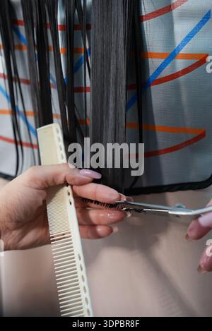 Gros plan d'une femme coupant habilement de longs cheveux foncés avec un peigne et des ciseaux, suggérant un service de salon ou une transformation de beauté. Haute qualité Banque D'Images