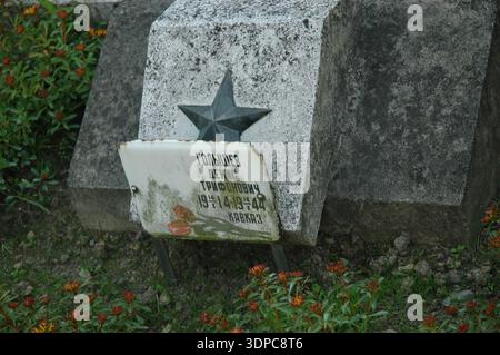 Tombe personnelle de Denis Trifonovicz Golyszew (1914-1944) au cimetière militaire de Baligrod, Bieszczady, Pologne, avec une étoile soviétique et des fleurs Banque D'Images