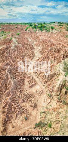 Paysage aride du désert de Tatacoa présentant des schémas d'érosion naturelle Banque D'Images