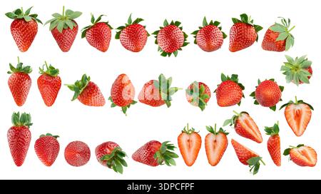 Fraises rouges fraîches mûres avec des tiges vertes, grande collection, gros plan, fond blanc isolé. Entiers, moitiés de différents côtés. Fraîche bio Banque D'Images