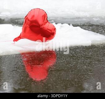 Hasselfelde, Allemagne. 14 février 2026. Un coeur de ballon se trouve sur le lac de baignade gelé dans la piscine forestière à Hasselfelde. Plus de 50 hommes et femmes courageux se sont aventurés dans l'eau glacée de la piscine naturelle en costume de mascarade. Crédit : Matthias Bein/dpa/Alamy Live News Banque D'Images