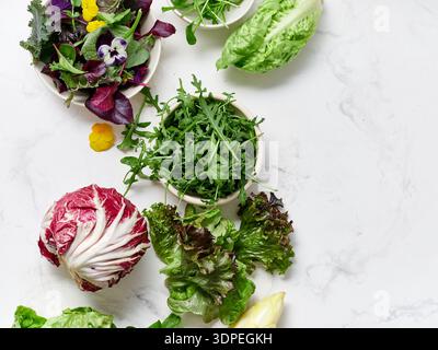 Différents types de laitues et de légumes sont disposés sur un comptoir en marbre dans une cuisine. Les ingrédients comprennent le radicchio, la romaine, la roquette et le radi Banque D'Images