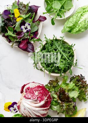 Différents types de laitues sont disposés sur un comptoir en marbre dans une cuisine. Radicchio, romaine, roquette et autres verts sont présents. Radis, neige Banque D'Images