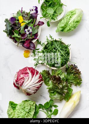 Les laitues et les légumes sont disposés sur un comptoir en marbre dans une cuisine. Cette configuration comprend différents types de légumes verts ainsi que des radis et comestibles Banque D'Images