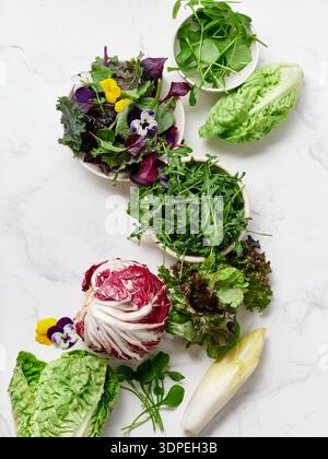 Différents types de laitues et de légumes sont disposés sur un comptoir en marbre dans une cuisine. Cette configuration est idéale pour faire des salades fraîches et saines m Banque D'Images
