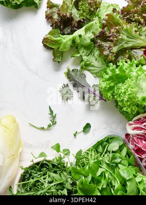 Différents types de laitues et de légumes sont disposés sur un comptoir en marbre. Ils comprennent le radicchio, la romaine, la roquette, et les radis entre autres fo Banque D'Images