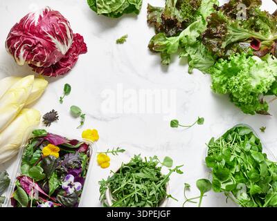 Différents types de laitues et de légumes sont disposés sur un comptoir en marbre. La scène montre radicchio, romaine, roquette, radis et fleur comestible Banque D'Images