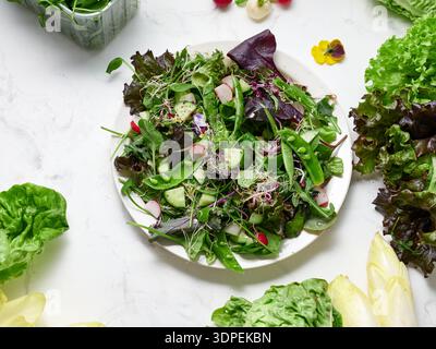 Une assiette a un mélange de laitue fraîche, de petits pois, de concombre et de radis disposés. Le décor présente un fond de marbre et le plat sert de V sain Banque D'Images