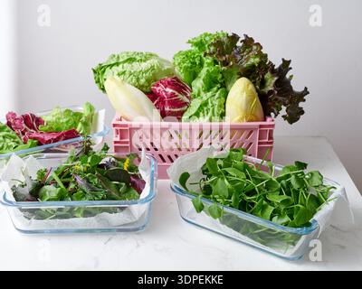 Différents types de laitues sont disposés dans des récipients transparents et un panier sur une surface en marbre. Cette configuration montre une sélection de verts frais dans un kitch Banque D'Images