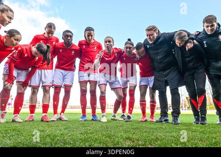 Deinze, Belgique. 14 février 2026. Team Standard photographié avant un match de football féminin entre le RSC Anderlecht Women et la Standard Femina de Liege le 18ème jour de la saison 2024 - 2025 de la Super League belge Lotto Womens, le samedi 14 février 2026 à Deinze, Belgique . Crédit : Sportpix/Alamy Live News Banque D'Images