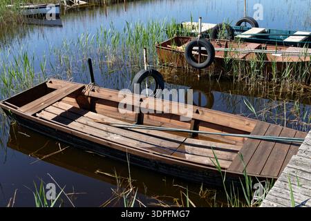 Bateaux en bois amarrés sur un lac tranquille, entouré de roseaux. La scène est baignée par la lumière du soleil, créant de beaux reflets. Banque D'Images