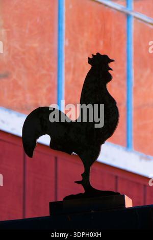 Une silhouette de coq se dresse haut sur un toit. L'arrière-plan montre les couleurs vives d'un mur. La lumière du soleil projette une ombre capturant l'essence d'un rural Banque D'Images