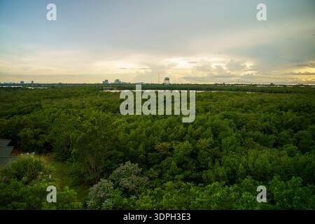 5Panoramic vue de dessus de la vaste forêt de mangrove verte et la surface de la rivière calme avec des gratte-ciel dans la distance sous une journée nuageuse. Banque D'Images