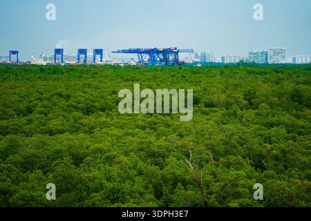 Vue en angle élevé de la forêt de mangroves vertes avec des grues portuaires industrielles bleues et des bâtiments de la ville sous un ciel couvert le jour Banque D'Images