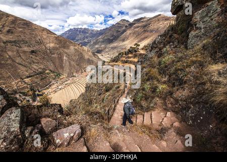 Champs en terrasses près des ruines inca de Pisac, Vallée sacrée, Valle Sagrado, Pérou Banque D'Images