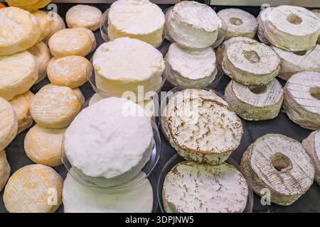 Variété de fromages français artisanaux à pâte molle sur un marché Banque D'Images