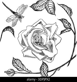 Modèle sans couture d'illustrations vectorielles d'éclosion d'une rose, d'une tige, de feuilles et de libellule. Pour affiches, cartes postales, tissus, textiles, imprimés, conception Illustration de Vecteur