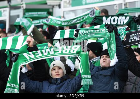Brême, Allemagne. 14 février 2026. Fussball 1. Bundesliga 22. Spieltag SV Werder Bremen - FC Bayern Muenchen am 14.02.2026 im Weserstadion in Bremen Fanblock/fans SV Werder Bremen la réglementation DFL interdit toute utilisation de photographies comme séquences d'images et/ou quasi-vidéo. Foto : Revierfoto crédit : ddp Media GmbH/Alamy Live News Banque D'Images