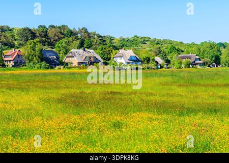 Maison traditionnelle au toit de chaume sur la prairie verte dans le village de Gross Zicker le jour ensoleillé d'été, île de Ruegen, mer Baltique, Allemagne Banque D'Images