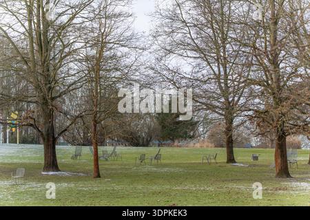 Un groupe d'oies se tient debout dans un champ à côté d'un parc. Il y a plusieurs bancs dans le parc, et quelques-uns d'entre eux sont vides Banque D'Images