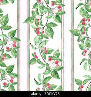 Branches de framboise verticales avec des rayures dans un motif sans couture. Illustration aquarelle isolée pour l'image de marque d'emballage de thé à base de plantes, menus de restaurant Banque D'Images