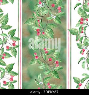 Branches verticales de framboise sur un fond rayé vert et blanc dans un motif sans couture. Illustration d'aquarelle isolée pour l'emballage de thé à base de plantes Banque D'Images