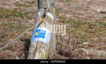 Un poteau en bois avec un marqueur de chemin de pèlerinage jaune vif se dresse sur l'herbe sèche, guidant les randonneurs à travers la campagne rurale. Banque D'Images