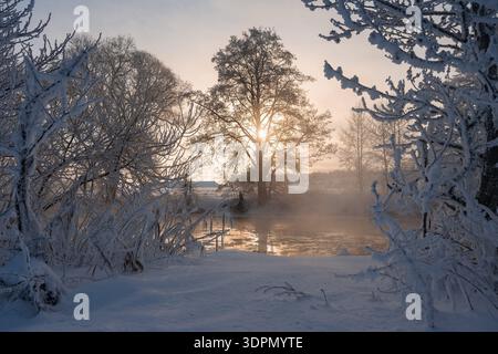 Matin magique d'hiver avec des rayons de soleil dorés perçant à travers les arbres gelés le long d'une rivière sauvage. Le givre épais et la neige fraîche recouvrent chaque branche. M Banque D'Images