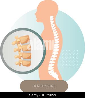 Bonne posture - colonne vertébrale saine - illustration stock en tant que fichier EPS 10 Illustration de Vecteur