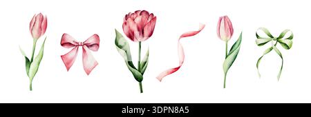 Ensemble de fleurs tulipes rouge printemps. Noeuds aquarelle avec de longs rubans, illustration dessinée à la main de pâques isolé sur fond, png transparent. Botanique et Banque D'Images