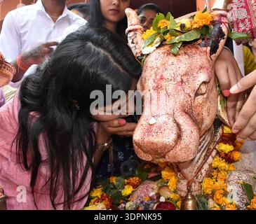 PATNA, INDE - 15 FÉVRIER : des dévots adorent la vache Nandi à l'occasion du festival Mahashivratri au temple Shiv, traversée de route ennuyeuse le 15 février 2026 à Patna, Inde. Le festival hindou est dédié au Seigneur Shiva et à la Déesse Parvati, symbolisant leur union divine et l'équilibre des énergies masculine et féminine. Sur Shivratri, les dévots visitent les temples, offrent des prières et observent les jeûnes. On croit aussi que le Seigneur Shiva a exécuté la danse cosmique de la création et de la destruction de Tandav, en cette nuit sainte. (Photo de Santosh Kumar/Hindustan Times/Sipa USA ) Banque D'Images